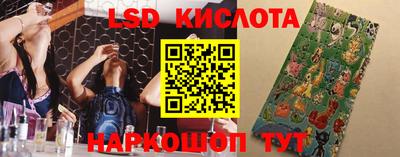 индика Будённовск