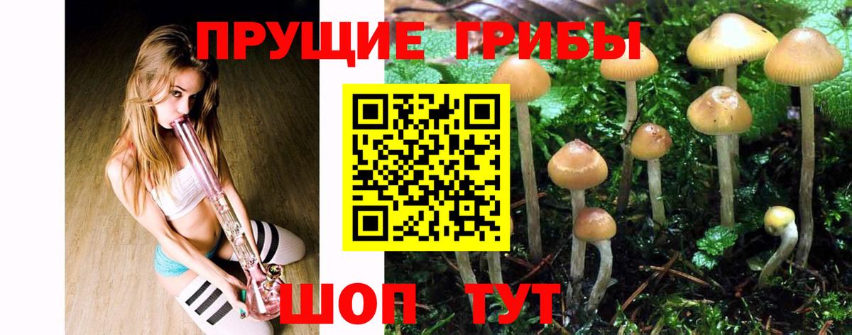 Галлюциногенные грибы Magic Shrooms Крымск