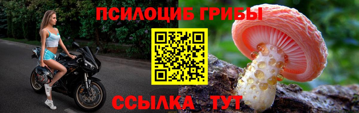 как найти закладки  Псилоцибиновые грибы Psilocybe  Вход с VPN  Крымск 